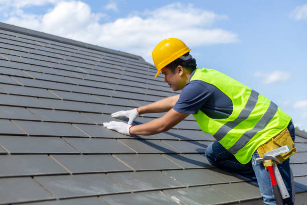 Best Roof Maintenance Services  in Nevada, TX
