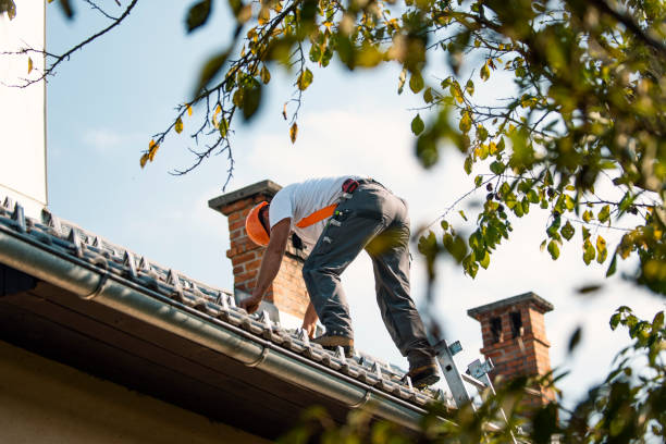 Best Slate Roofing Contractor  in Nevada, TX