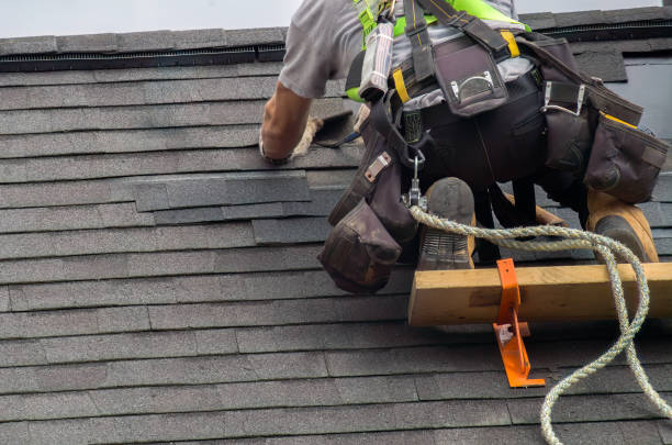 Best Storm Damage Roof Repair  in Nevada, TX