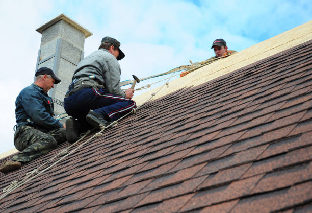 Best Roof Maintenance Services  in Nevada, TX